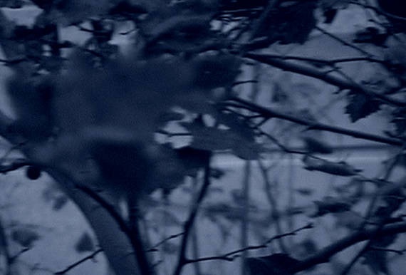 Dennis Del Favero: Cross Currents